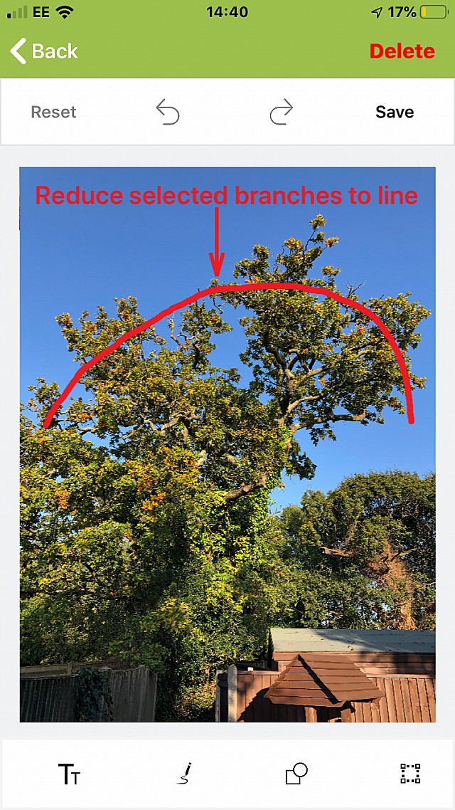 British standard related to trees with Arb Pro software